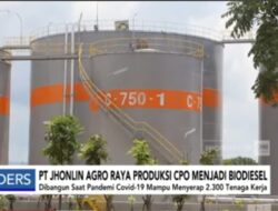 Kembali, Pengurus PT. Jhonlin Agro Raya Dicecar Cari Tersangka Skandal Sawit