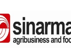 Ungkap Praktik Koruptif Dana Sawit, Dua anak Usaha Sinarmas Agribusiness and Food Diperiksa