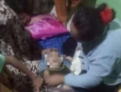 Korban Sempat Kejang-kejang, Bocah Lelaki Menemui Ajal Digigit Kobra di Sepatan Tangerang