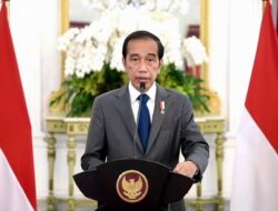 Projo Bantah Presiden Jokowi akan Cawe-cawe pada Pilkada Serentak 2024
