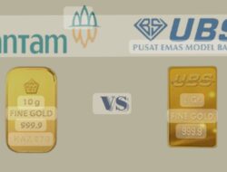 Fokus 109 Ton Emas, Alpa Objek Penyidikan Impor Emas dan Lainnya?