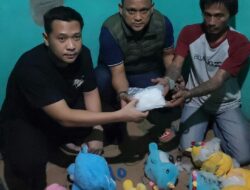 Ditresnarkoba Polda Metro Jaya Ungkap Narkotika Sabu 6 Kilogram Dalam Boneka