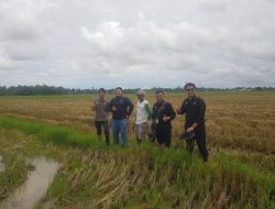 Sukses Lelang Aset Bentjok dalam 1 Bulan, Lelang Aset Terpidana Skandal Jiwasraya