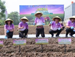 Sukses Gelar Program Jaksa Mandiri Pangan di Bekasi, Jamintel Lanjutkan Program Serupa di Banten