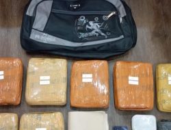 Ditresnarkoba Polda Metro Jaya  Ringkus Pria Pengedar 7 Kilogram Ganja di Cakung