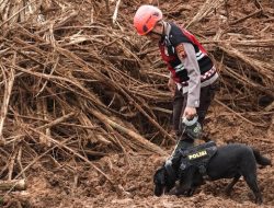 Keberhasilan Unit K9 Polda Jateng Temukan Dua Korban Longsor di Cilacap