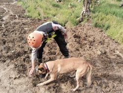 Unit K9 Polda Jateng Berhasil Deteksi Tiga Titik Jejak Korban di Lokasi Bencana Pandanarum