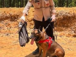 Reno Anjing K-9 Gugur Saat Mencari Korban di Agam Sumbar