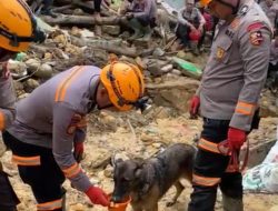 Unit K-9 SAR Korsabahara Baharkam Polri Temukan Titik Indikasi Korban di Reruntuhan Masjid Sibolga