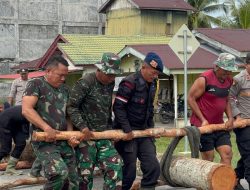 Sinergitas TNI Polri dan Masyarakat Bangun Jembatan Darurat di Aceh Singkil