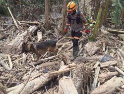 Tindak Lanjut Laporan Warga, Satwa K-9 Polri Berhasil Temukan Jenazah di Aceh Tamiang