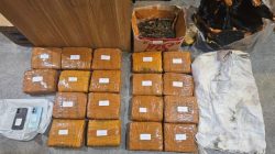 Ditresnarkoba Polda Metro Jaya Ungkap Ganja 18 Kilogram di Jakarta Barat