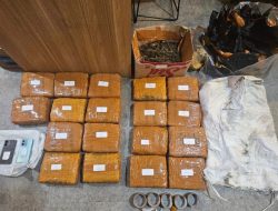 Ditresnarkoba Polda Metro Jaya Ungkap Ganja 18 Kilogram di Jakarta Barat