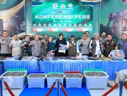 Polda Riau Bekuk 15 Tersangka Jaringan Perburuan Gajah Sumatera Lintas Provinsi