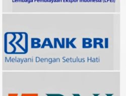 Bukan Kapan, Tapi Siapa Bakal Kenakan Rompi Orange: Kasasi Perkara Sritex Jilid I Adalah Indikator !