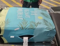 BNN Tangkap 2 WNA Rusia Kasus Penyelundupan Narkotika Jenis Hashish di Bali