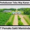 Sita 11 Unit Kendaraan: Indikasi Status Komisaris dan Direksi PT. PTSMI dan Inhutani V Berubah Status