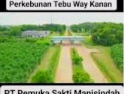 Sesuai Janji Kejaksaan, Perkara PT. PSMI Jalan Terus Berujung Penetapan Tersangka
