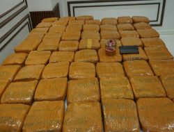 Ditresnarkoba Polda Metro Jaya Ringkus 2 Pengedar, Sita 62,5 Kg Ganja