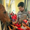 Polisi Sahabat Anak: Ditpolsatwa Korsabhara Polri Sambut Hangat Kunjungan Edukasi TK Islam Amaryllis